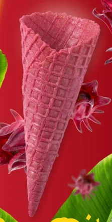 Waffle cone (M) Roselle flavor