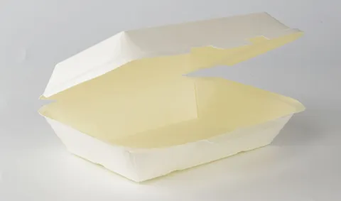 Paper take away food Box (T-5)