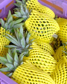 Baby Pineapples