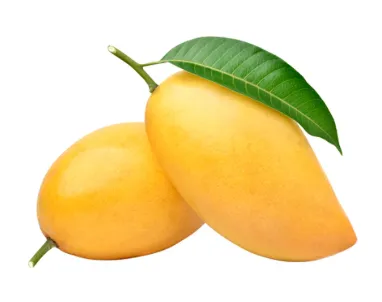 Mango Honey Namdokmai
