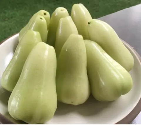 Rose apple Green