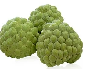 Custard Apple
