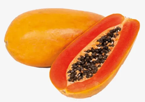 Holland Papaya