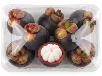 Mangosteen (Middle size)