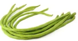Yard Long Bean