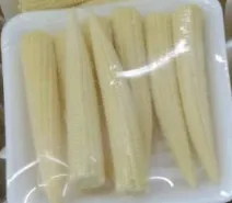 Fresh Young Corn