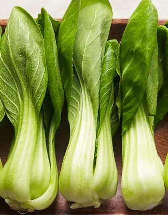 Baby Pok Choy (Good Quality)