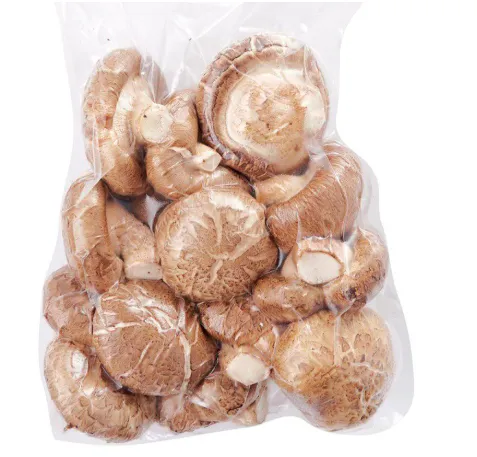 Shiitake mushroom