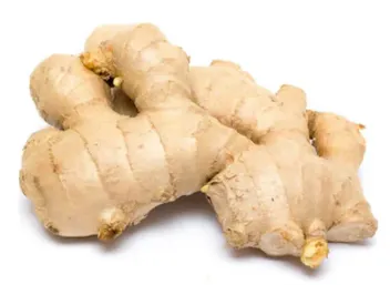 Ginger