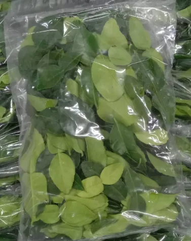 Kaffir Lime Leaves