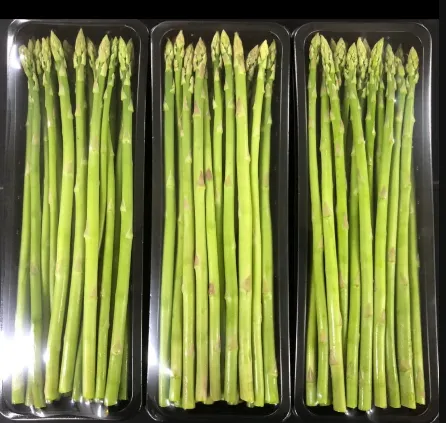 Asparagus Size 12-16mm