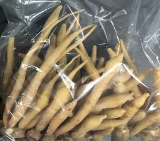 Fingerroot