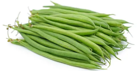 French Bean