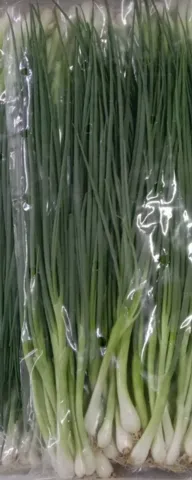 Spring Onion